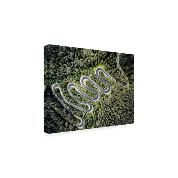 PhotoINC Studio 'Road Winding' Canvas Art,24x32